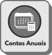 Contas Anuais Contas Anuais