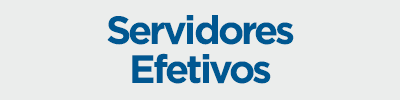 bt_efetivos bt_efetivos