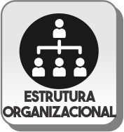 Estrutura Organizacional Estrutura Organizacional