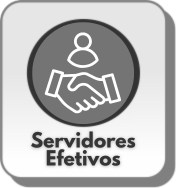 Servidores Efetivos Servidores Efetivos